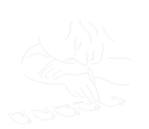 10 kleine ottifanten_weiss__Transparent_04_web 2 10 kleine ottifanten_weiss__Transparent_04_web 2
